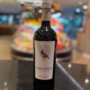 Orígenes